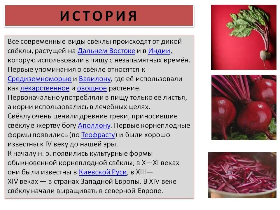С какого возраста ребенку давать борщ