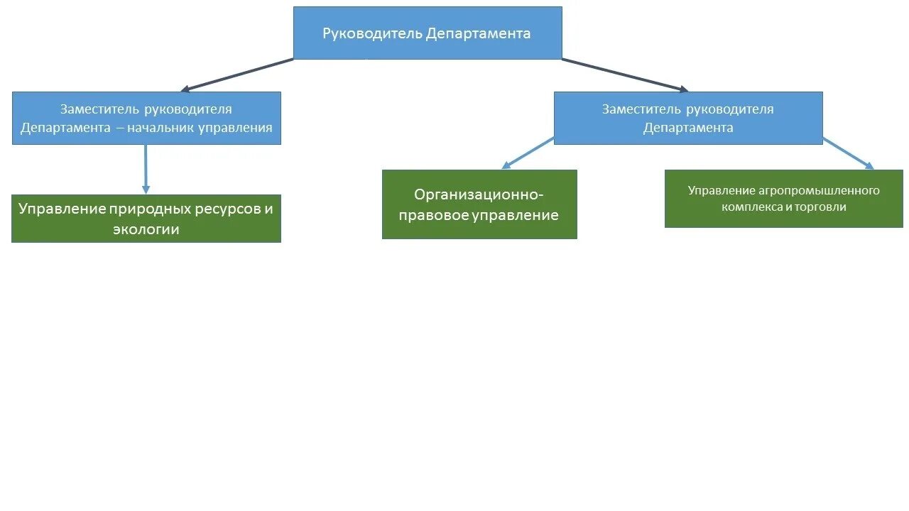 Минприроды департаменты. Структура департамента природных ресурсов. Структура департамента природных ресурсов и экологии. Министерство природных ресурсов схема. Схему структуры Министерства природных ресурсов и экологии РФ..