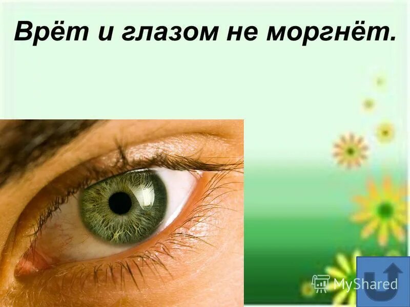если вы пытаетесь врать мне в глаза. смешные афоризмы про ложь. картинки ты врешь. смешные фразы про ложь. красивые высказывания про ложь.