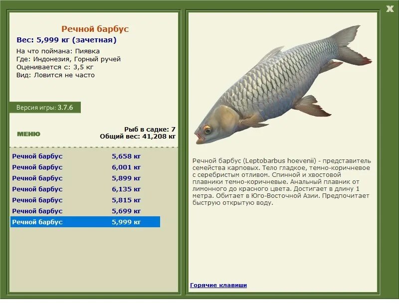 хищная рыба из семейства карповых. семейство карповых рыб список с фото. шереспер рыба карповые. небольшая пресноводная рыба семейства карповых. рыба семейства карповых 9 букв.