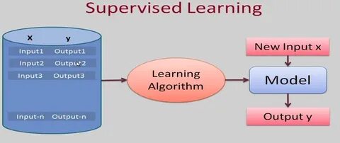 Input model