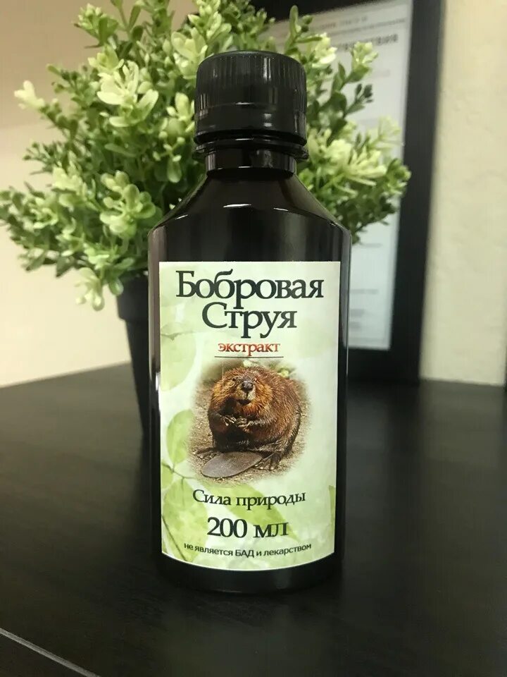 Моча бобра. Экстракт бобровой струи мускус. Бобровая струя-мускус бобра. Экстракт струи бобра.