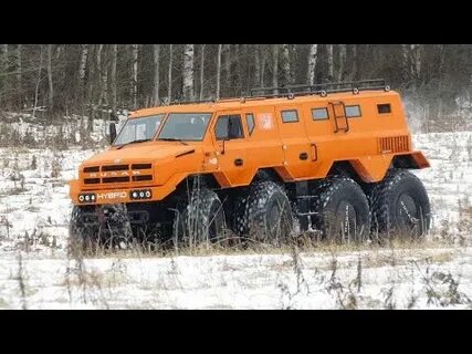 Русак 8 8