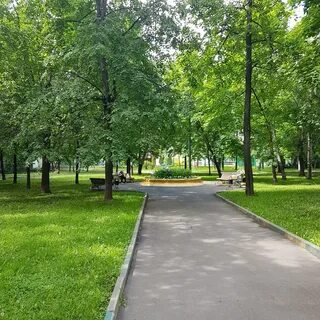 Московский лесопарк