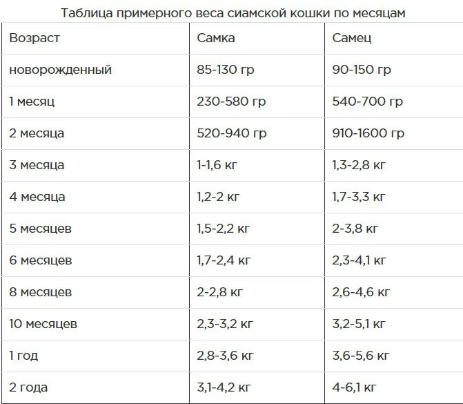 Сколько весит самка. Сколько должен весить котик в 4 месяца. Вес котенка по месяцам таблица. Нормы веса котят по месяцам таблица. Вес британского котенка в 8 месяцев.