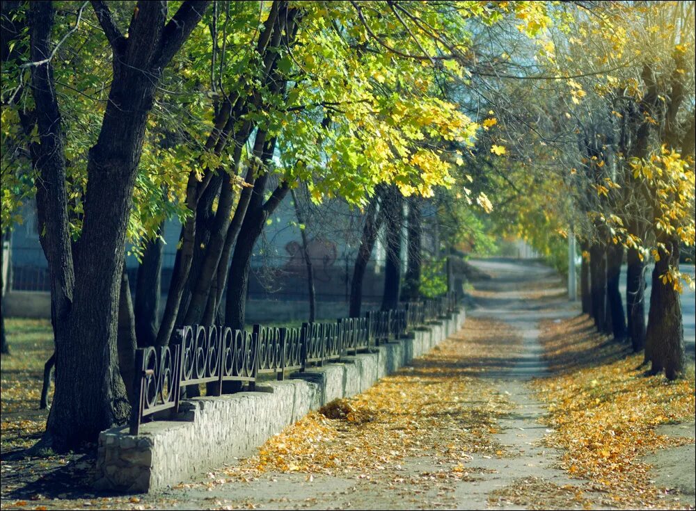 Осень без людей. Central Park Уфа. Осенний парк в Уфе. Парки Уфы осенью. Парк Якутова поздняя осень.