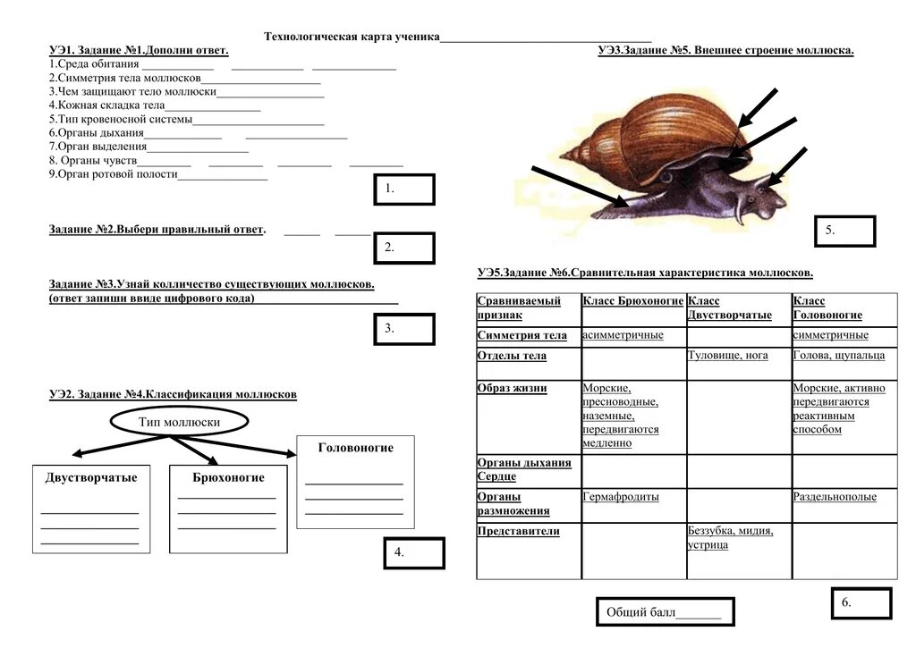 Моллюски контрольная работа. Технологическая карта ученика. Технологическая карта по биологии. Технологическая карта ученика 1 класса. Проверочная работа Тип моллюски.