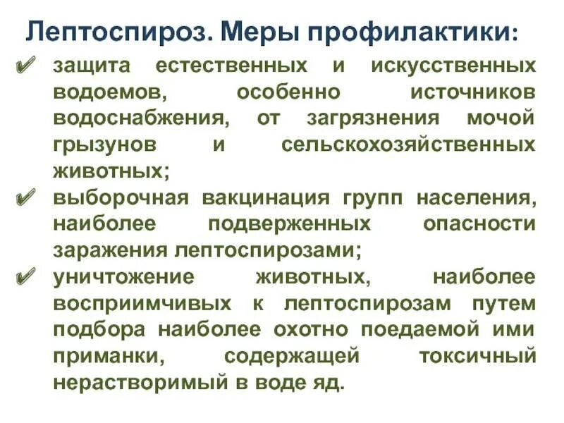 Лечение лептоспироза у людей. Профилактика лептоспироза. Профилактика лептоспироза у животных. Профилактика при лептоспирозе. Лептоспироз меры профилактики.