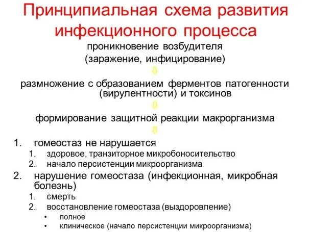 Для чего нужна дисциплина инфекционные болезни. Общие закономерности развития инфекционного процесса. Закономерности инфекционного процесса. Схема эпид процесса гриппа. Закономерности инфекционного процесса.