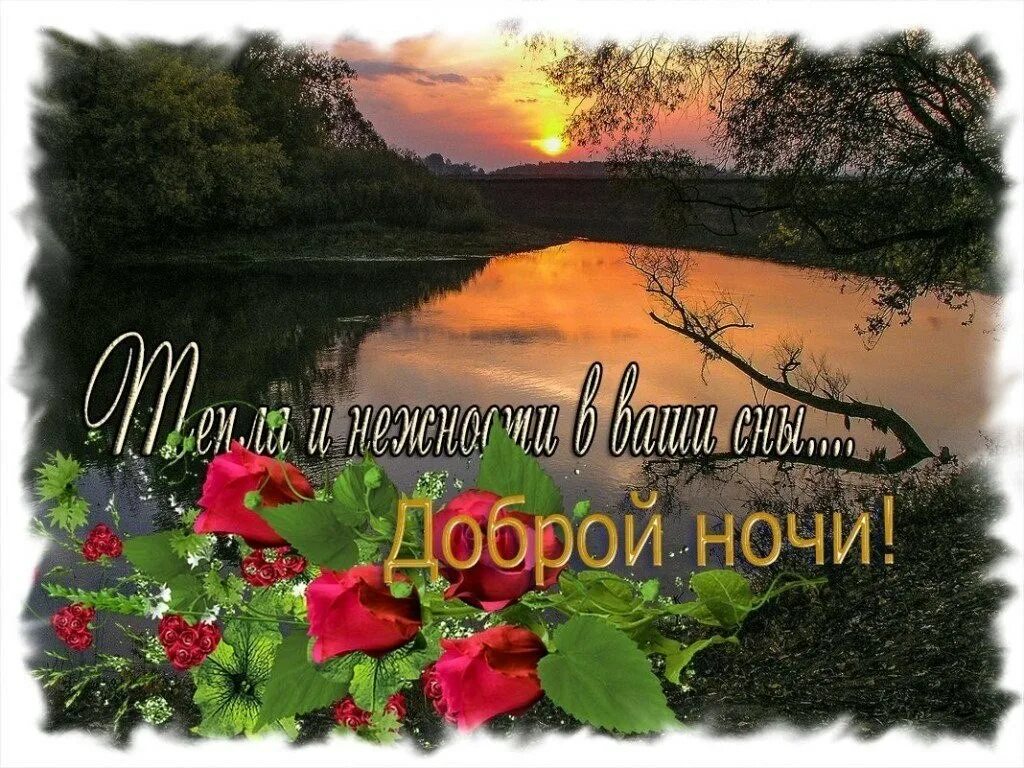 Доброй ночи природа пожелание