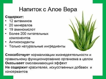 Алоэ витамины