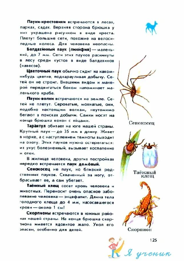 Таежный клещ атлас определитель 2. Таежный клещ атлас определитель 2 класс окружающий. Таежный клещ переносчик. Таёжный клещ атлас определитель 2 класс окружающий мир. Таежный клещ атлас определитель 2 класс окружающий.