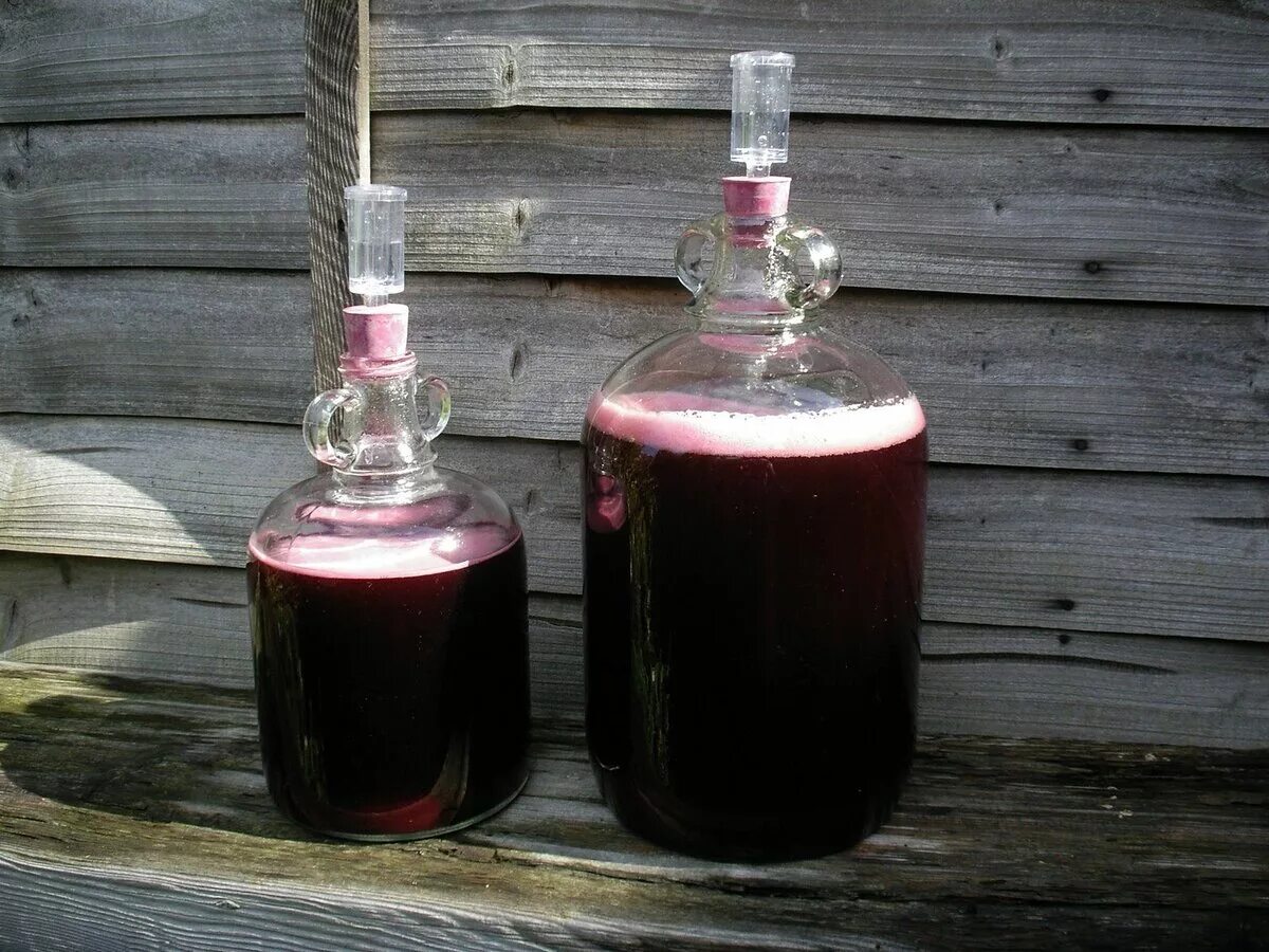 Как приготовить вино. Вино из черноплодки гидрозатвор. Виноградное вино гидрозатвором. Бутыль для домашнего вина. Брожение вина.