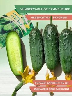 Сережка огурцов