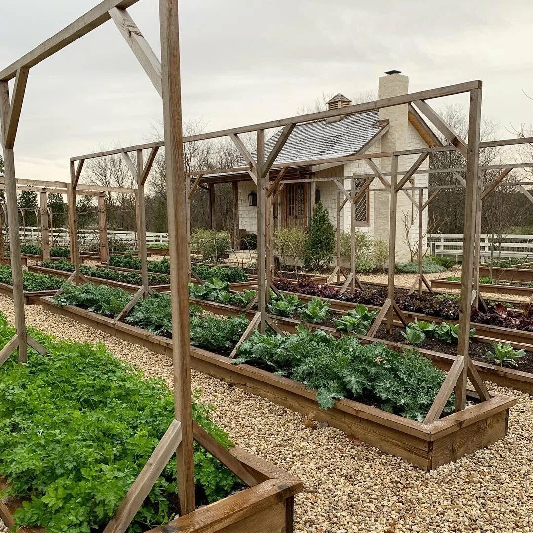 Красивые грядки. Сад и огород. Красивые грядки. Красивый огород. Как правильно расположить грядки.