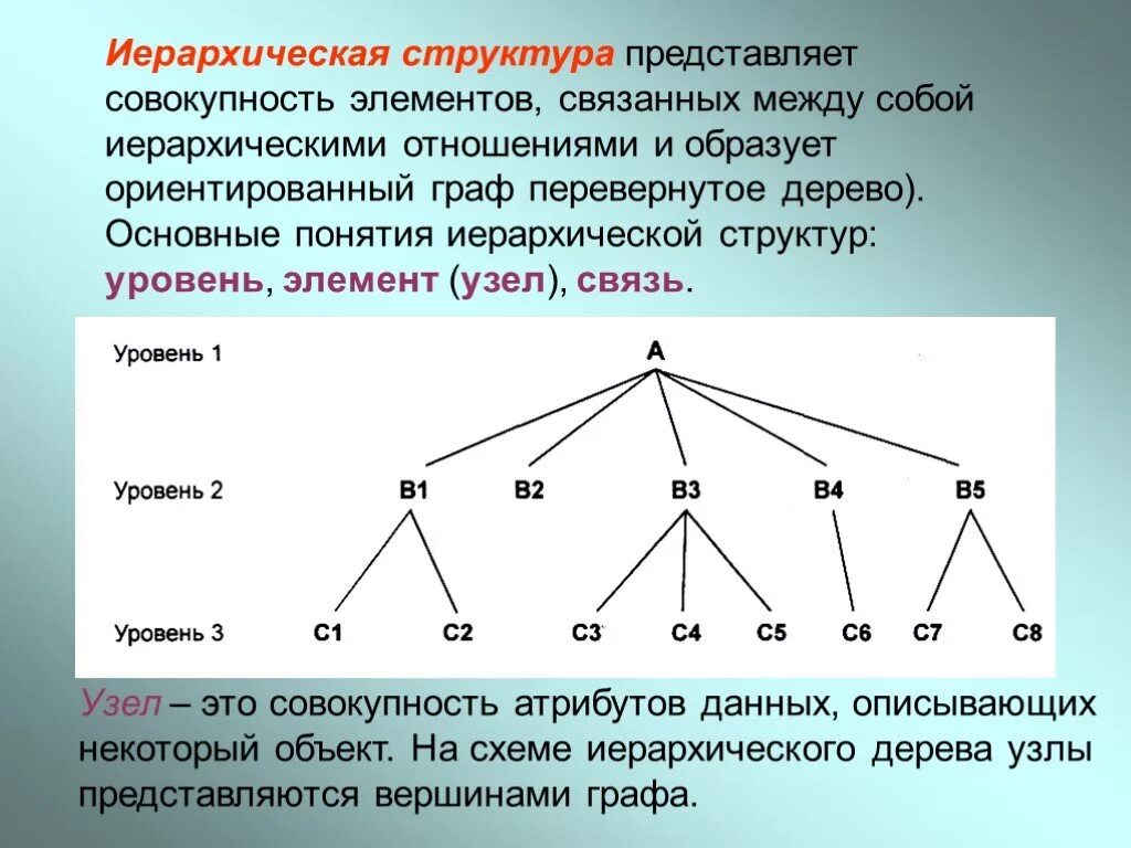 Модель иерархической структуры. Неиерархические структуры. Понятия иерархической структуры. Иерархичность строения.