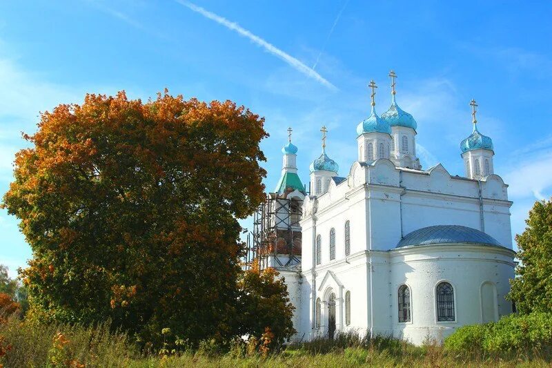 Печерниковские Выселки храм. Печерниковские Выселки Михайловский район. Никольская Церковь Печерниковские Выселки. Печерниковские Выселки Михайловский район Рязанская область.