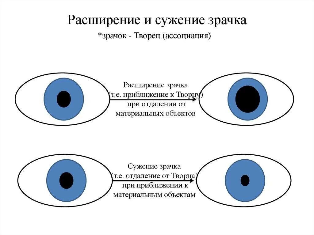 Расширяет зрачки уменьшает частоту сердечных