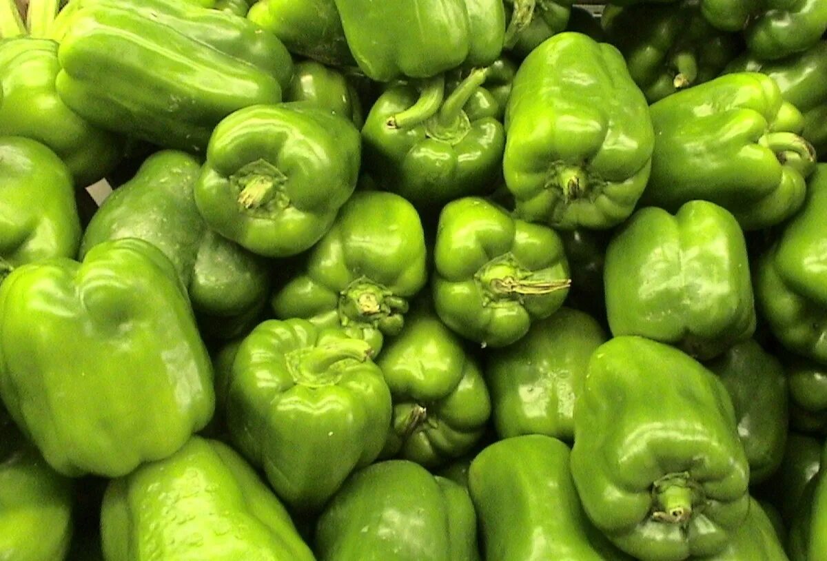 Peppers перламутровые. Green перец. Индиана перец. Белл Пеппер. One Green Pepper.