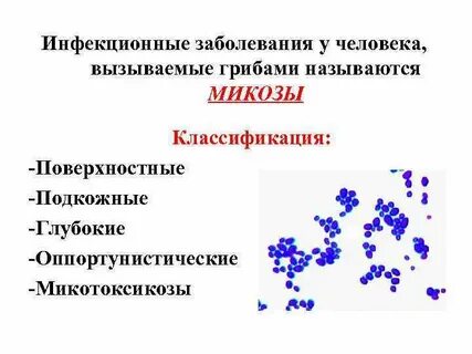 Инфекции вызываемые грибами