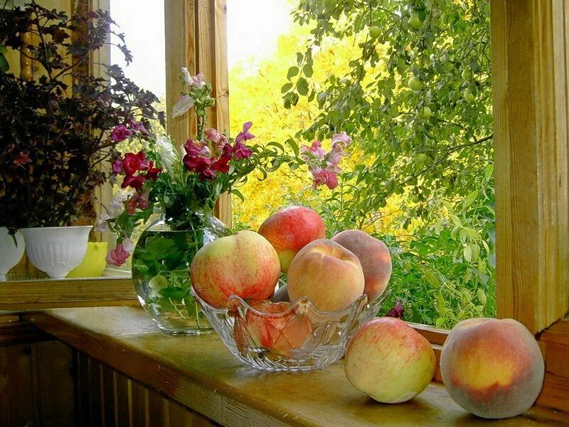 осенний сад. стихи о поздней любви к мужчине. светлая душа. возиться значение. яркие моменты лета.