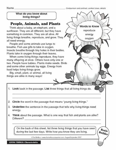 Thing reader. Living things worksheets. liveworksheets reading comprehension. worksheets animals living things. living things 5 grade lesson plan.