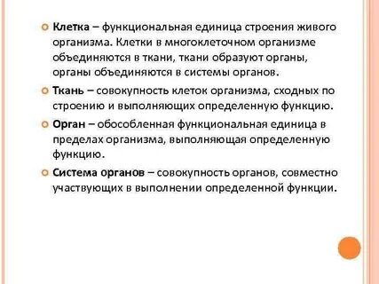 Понятие ткани в системе организма