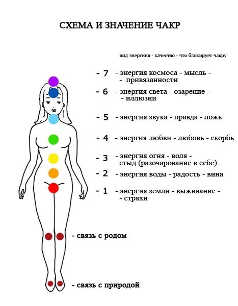 Что означает местоположение. Чакры человека их расположение и названия. 7 Чакр человека и их значение. Железы внутренней секреции и чакры человека. Энергетические чакры человека описание.