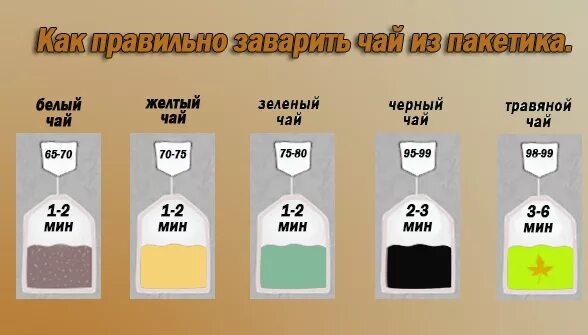Как заваривать пакет. Температура заваривания чая в пакетиках. температура заварки чая. как правильно заваривать чай в пакетиках. инфографика заварка чая.