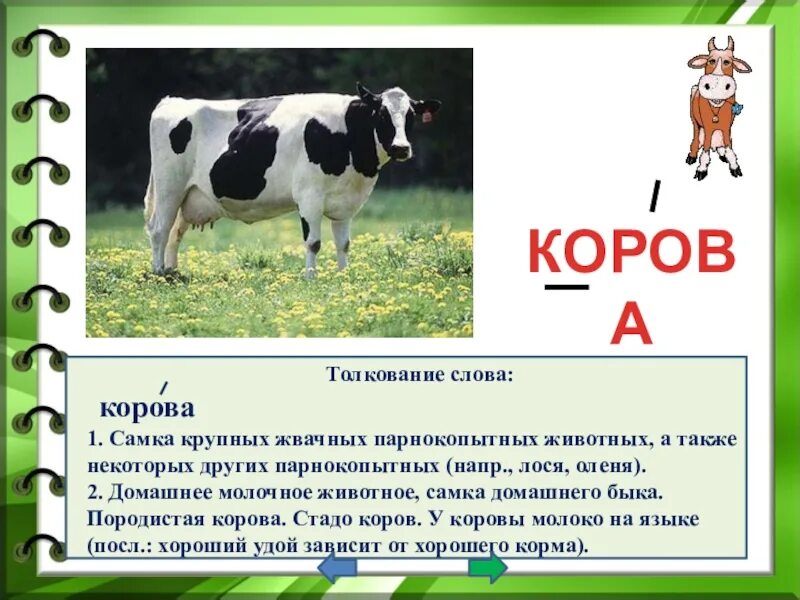 Текст про корову. Корова для презентации. Толкование слова корова. Слово корова.