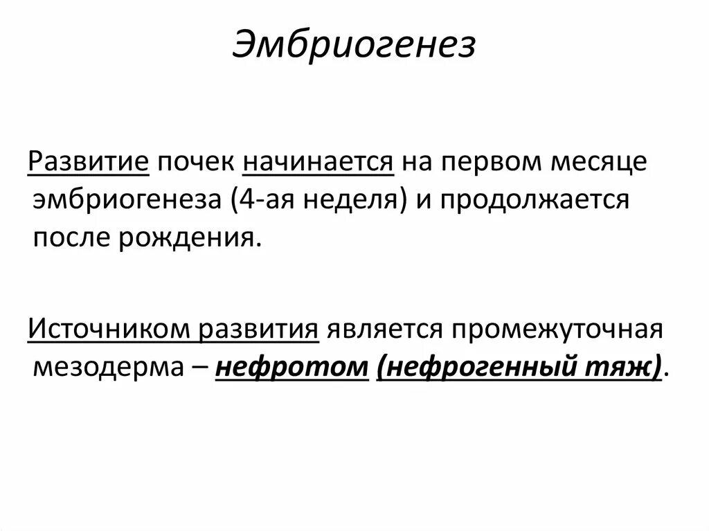 Эмбриогенез выделительной системы. Эмбриогенез почки. Этапы эмбрионального развития почек. Стадии развития почки. Пронефрос, мезонефрос, метанефрос филогенез.