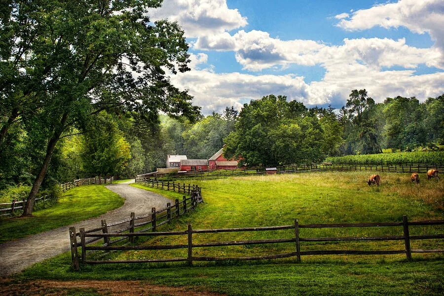 The country s main. Country картинки. Pasture. Rural Landscape with River and pasture. Pasture Road.