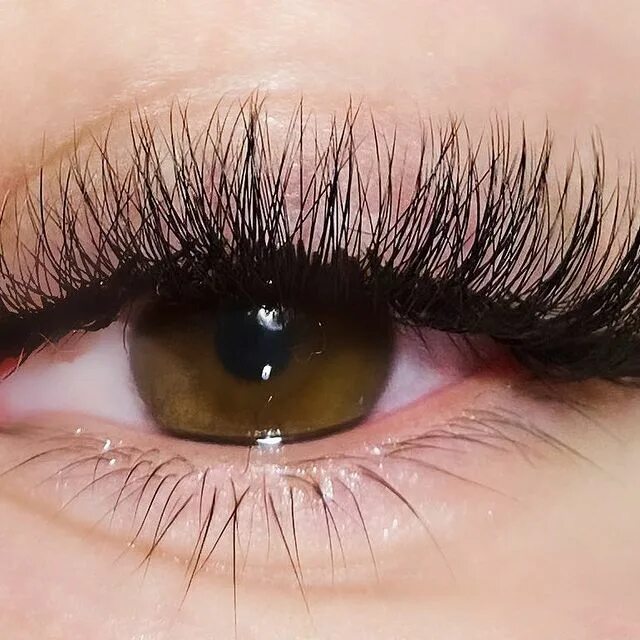 наращивание ресниц ступино. наращивание ресниц ступино. наращивание ресниц ступино. наращивание ресниц ступино. наращивание ресниц ступино.