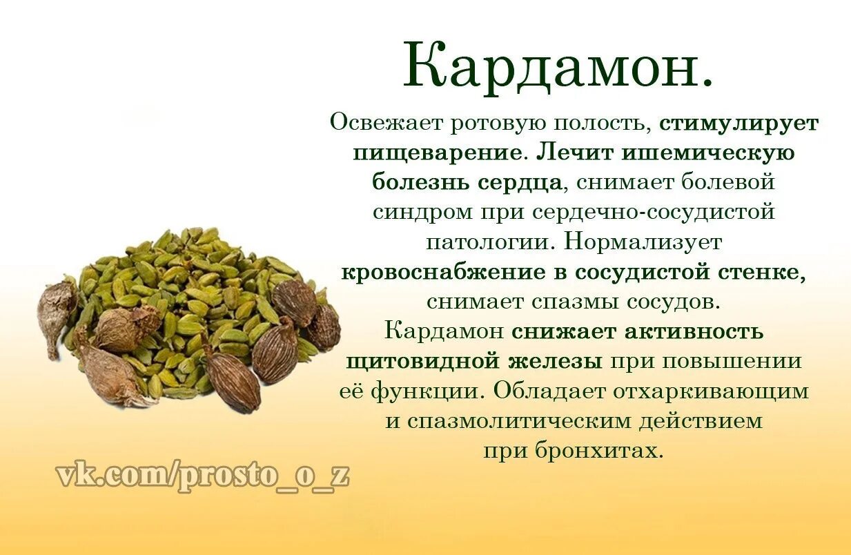 Кардамон противопоказания. Кардамон польза и вред. Кардамон что это полезные свойства. Полезные полезные свойства кардамона. Кардамон пряность.