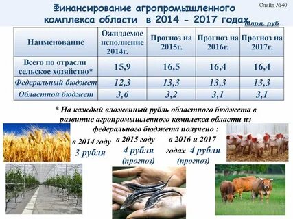Апк область