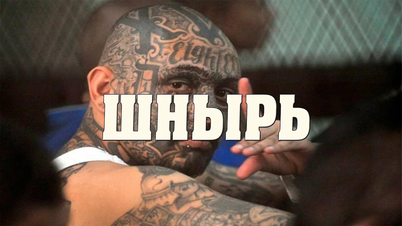 Шнырь значение. Шнырь. шныри на зоне. шнырь фото.