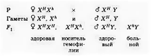 Дигетерозиготная по генам дальтонизма и гемофилии