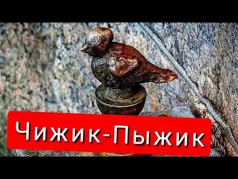 Чижика буду искать. Чиж а. Чижика буду искать. Чижика искать неделю видео. 2001 чиж & co - гайдном буду!.