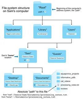 File structure