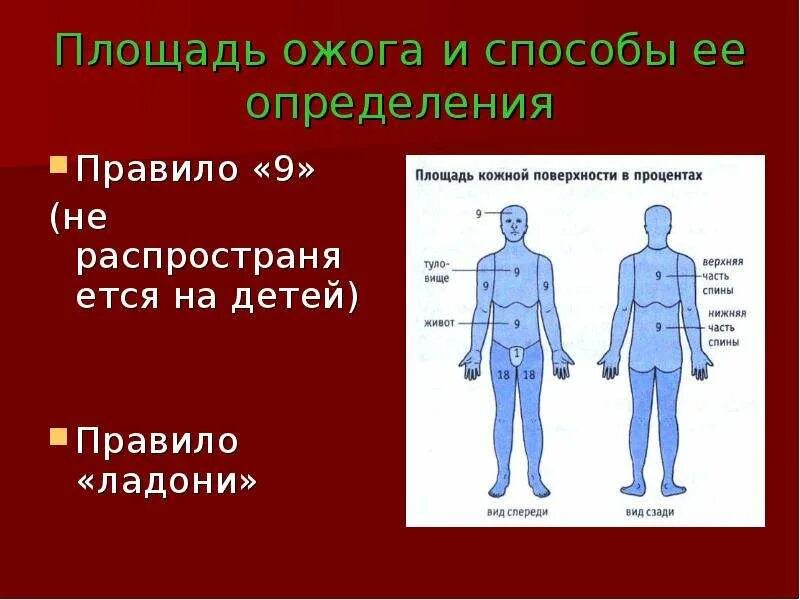 Ожоги проценты поражения. Способы определения площади ожога. Ожоги площадь поражения.