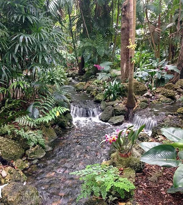Тропический Ботанический сад Фэйрчайлд. Сад в стиле тропиков. Тропический сад в средней полосе. Каменистый сад в тропиках.
