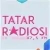 Татар радиосы логотип. Tatar Radiosi 100.5 fm. Радио татарское молодежное. Картинка радио татар радиосы.