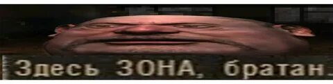 Братан на литературном языке