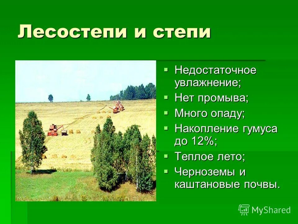 Природные зоны степи почва. Почвы лесостепи и степи в России. Почвы лесостепи. Зоны лесостепей и степей почвы. Лесостепи и степи Тип почвы.