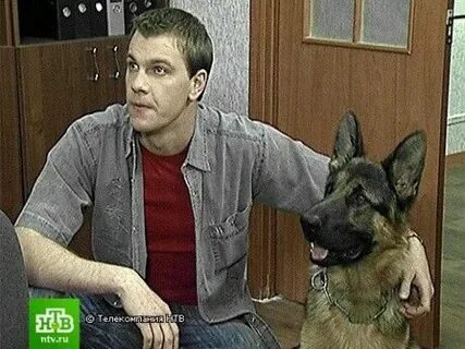Возвращение мухтара 2 собаки