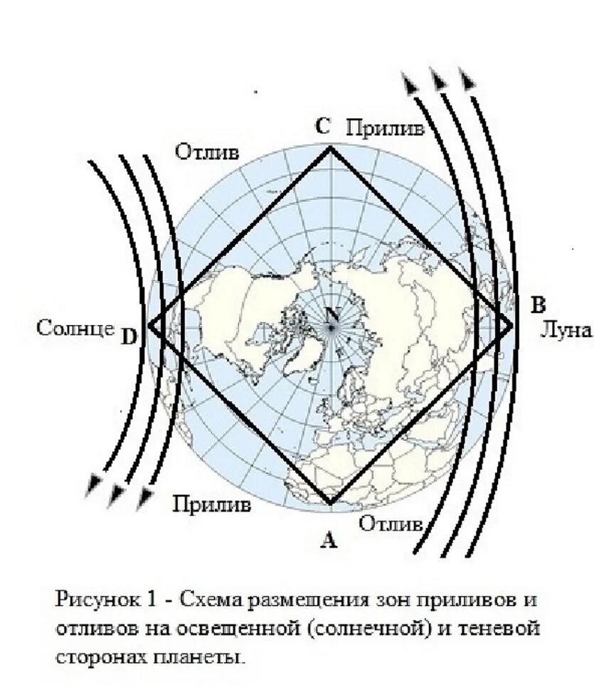 Приливы схема. Приливы и отливы. Карта приливов и отливов гавань Сибирь. Зоны приливов и отливов. Приливы и отливы залив анива