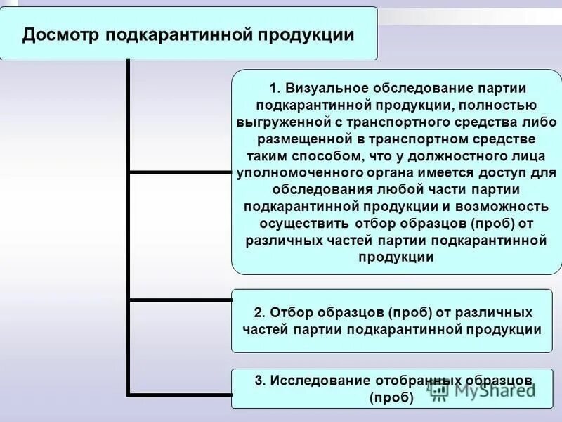 Порядок государственного контроля в пунктах пропуска. Порядок проведения таможенного контроля. Таможенный контроль в автомобильных пунктах пропуска. Таможенных операция при прибытии. Контроль в пункте пропуска.
