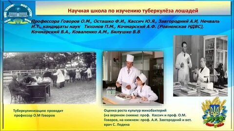 Научная школа история
