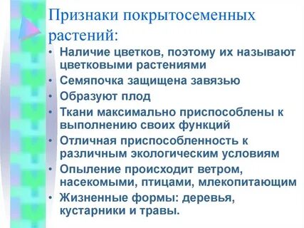 Назовите древесных представителей покрытосеменных