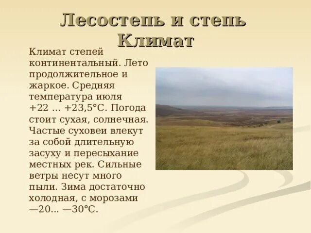 Климатический пояс лесостепи в россии. Климат степи. Лесостепь климат зимой и летом. Степи и лесостепи. Степной климат.